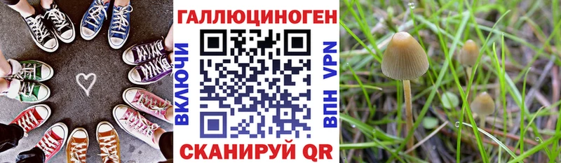Псилоцибиновые грибы Magic Shrooms darknet официальный сайт Ряжск как найти